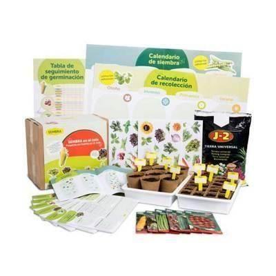 Huerto en el cole hortalizas primavera-verano castellano