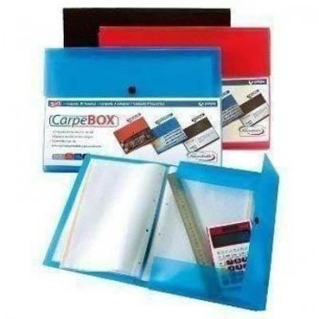 Carpeta de Fundas Carpebox A4 30F.C/Sol. AZ. Transparente.2630