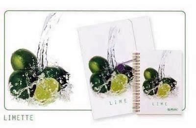 Carpeta de Pelikan 11307543 A4 2AN. 25MM. PP LimaS