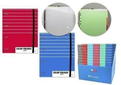 Carpeblock Feeling 326087 A4 4 anillas 35 milimetros surtido 100 hojas