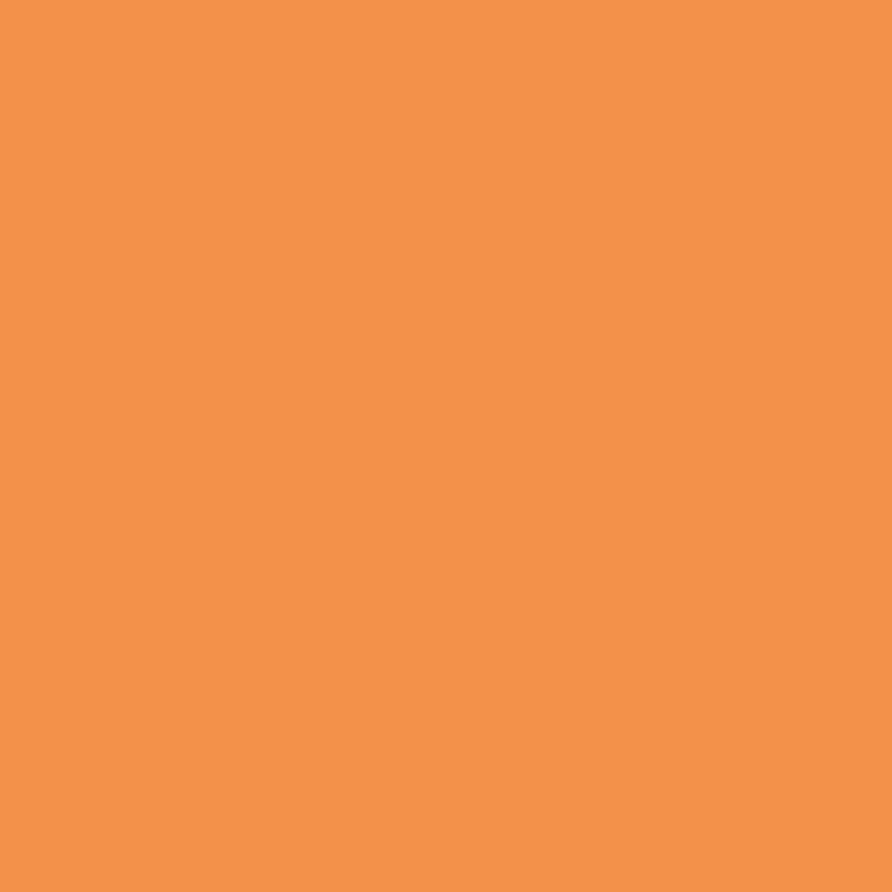 Tapa plastico duro DHP 22146 p/100 A4 0.45 naranja fluor transparente
