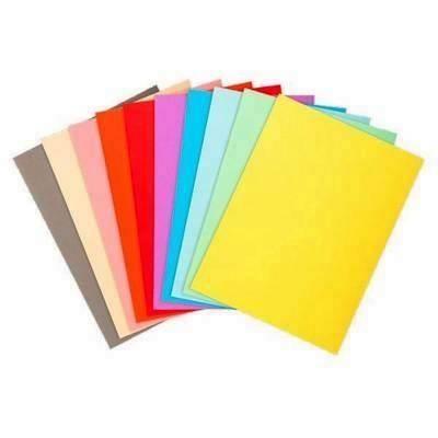 Subcarpetas Exacompta Forever 220 paquete 100 unidades