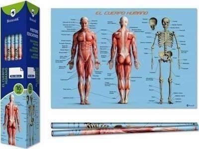 Mapa poster cuerpo humano 70x100cm Bismark 328695