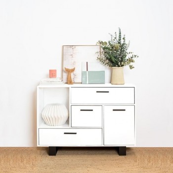 Pintura matt paint Pajarita