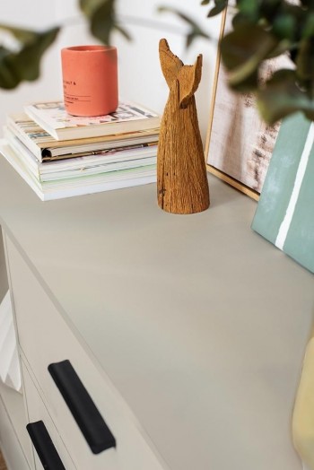 Pintura gloss paint Pajarita