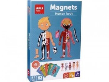Juego Apli 18531 magnético el cuerpo humano 63 piezas