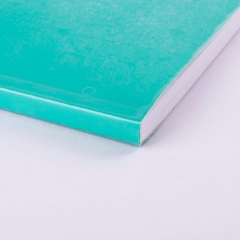 Forra-Libros Apli 00264 R/20X0,50 Adhesivo 80 micras