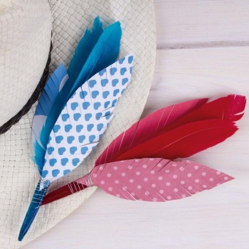 Plumas Apli
