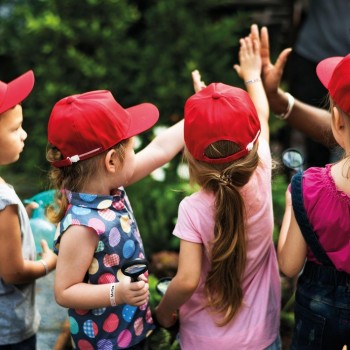 Brazaletes identificativo Apli 12523 210x15mm 2 hojas 32 unidades