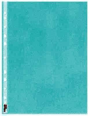 Funda multitaladro Esselte PP Piel de naranja ColourBreeze Copysafe C/25 DIN A4. 11 tal 628486