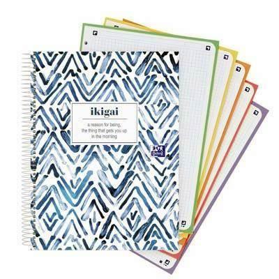 400171356 Bloc Oxford Bloc Oxford Europeanbook 5 JAPANDI A4+ 120H 5X5 TE