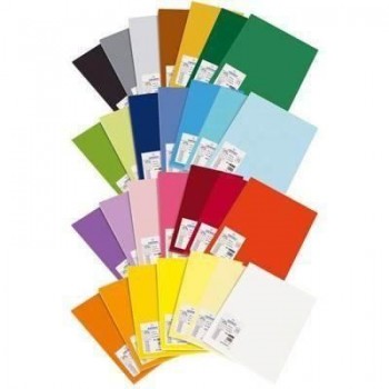 Cartulina Canson Iris A3 185g