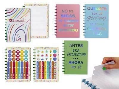 331803 CUADERNO A4 ANILLAS DE COLORES BISMARK