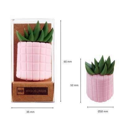 Afilalapiz Miquelrius Cactus Foodie lovers MR11000