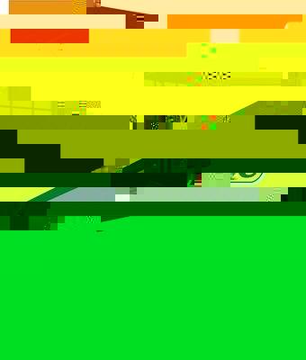 Lapiz Bic Intensity Watercolor 511727 caja de 24 unidades