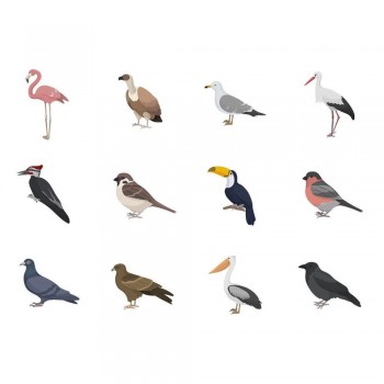 Gomette Apli 20054 Pack 4 Rollos Animales marinos, terrestres, exoticos, pajaros