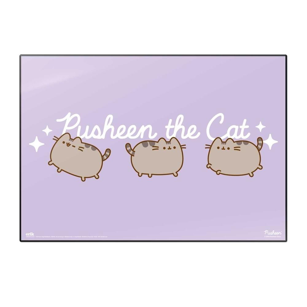 VADE ESCOLAR PUSHEEN MOMENTS TSEH555 ERIK