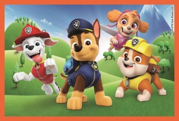 Juego de 6 cubos Paw Patrol 40658 Clementoni
