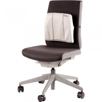 Fellowes 9190901 Cojin Lumbar Gris